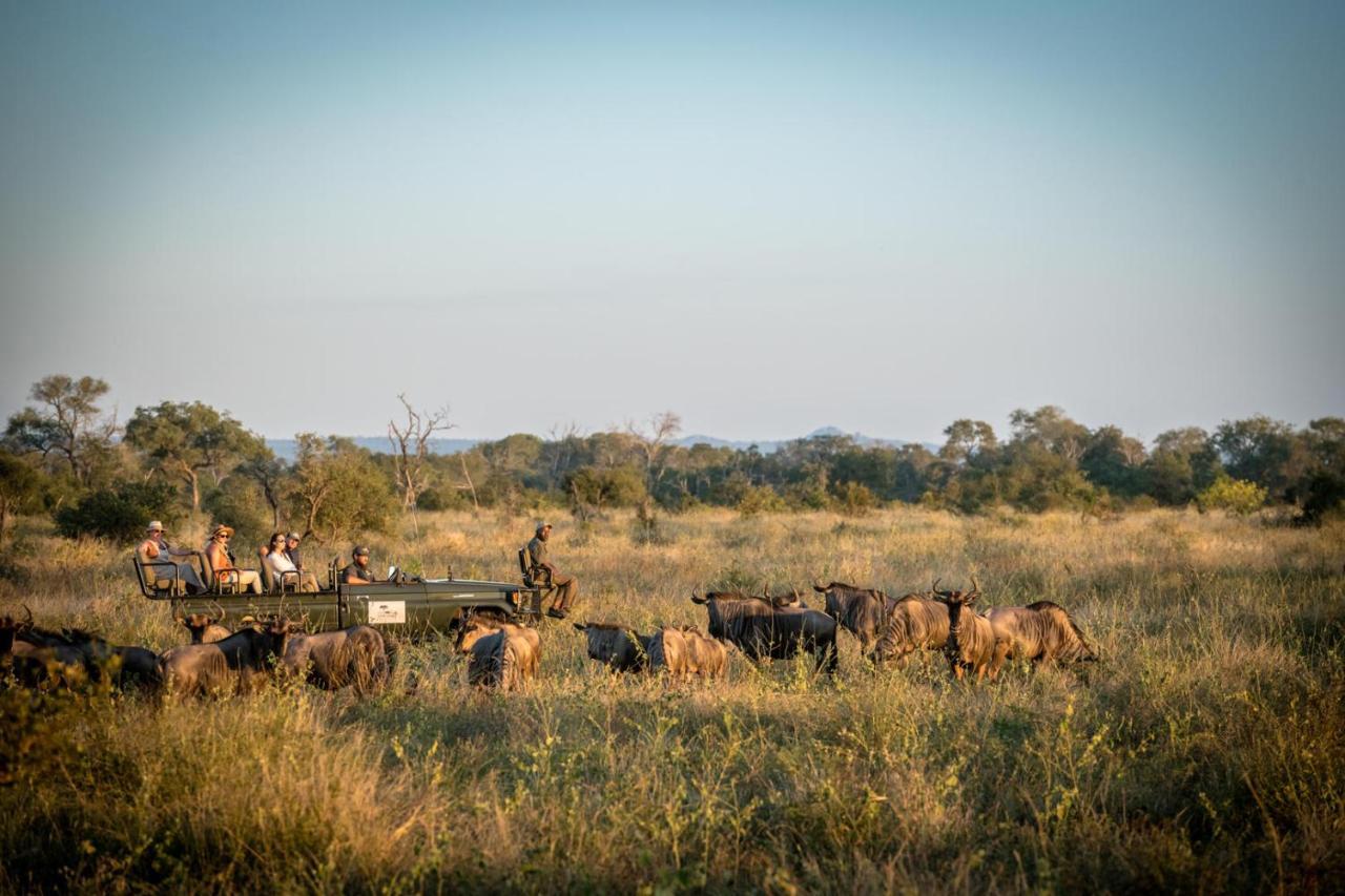 Umkumbe Bush Lodge - Luxury Tented Camp Sabi Sand Game Reserve Dış mekan fotoğraf