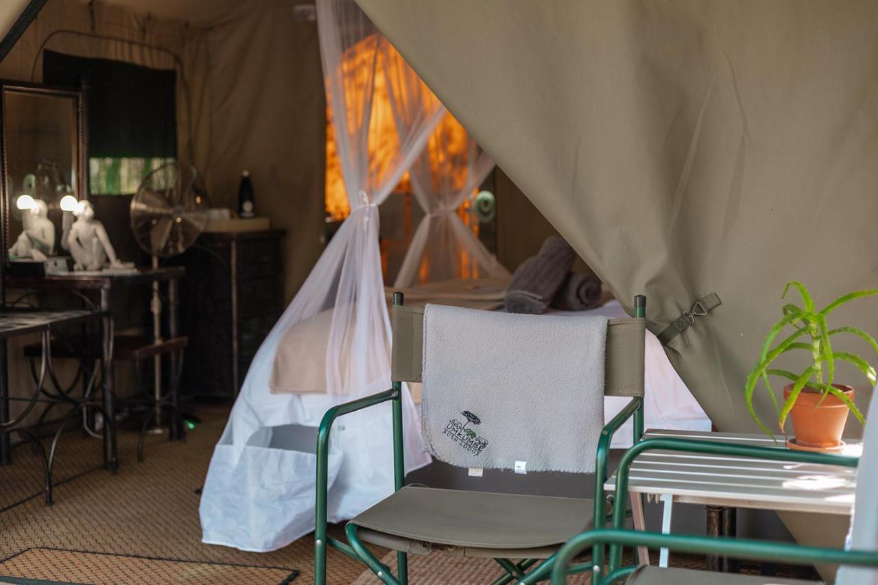 Umkumbe Bush Lodge - Luxury Tented Camp Sabi Sand Game Reserve Dış mekan fotoğraf