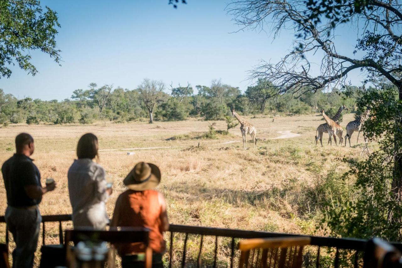 Umkumbe Bush Lodge - Luxury Tented Camp Sabi Sand Game Reserve Dış mekan fotoğraf