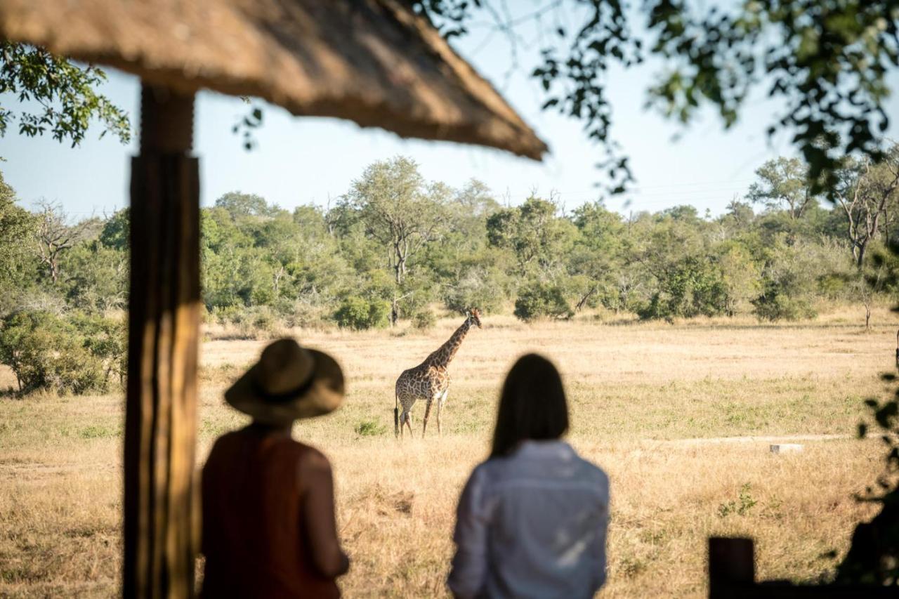 Umkumbe Bush Lodge - Luxury Tented Camp Sabi Sand Game Reserve Dış mekan fotoğraf